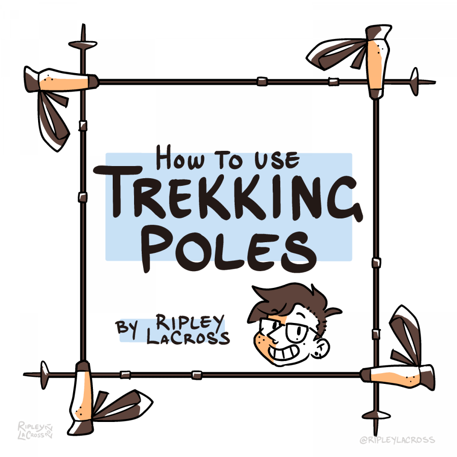 how-to-use-trekking-poles_p1